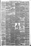 Carmarthen Weekly Reporter Friday 16 November 1894 Page 3