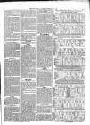 County Chronicle, Surrey Herald and Weekly Advertiser for Kent Saturday 11 February 1865 Page 5