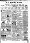 County Chronicle, Surrey Herald and Weekly Advertiser for Kent Saturday 08 April 1865 Page 1