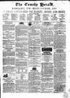 County Chronicle, Surrey Herald and Weekly Advertiser for Kent Saturday 14 October 1865 Page 1