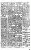 Express and Echo Tuesday 22 June 1875 Page 3