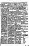 Express and Echo Wednesday 23 June 1875 Page 3