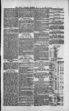 Express and Echo Monday 10 March 1879 Page 3