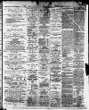 Express and Echo Saturday 08 June 1889 Page 3