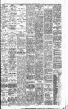 Express and Echo Saturday 06 April 1895 Page 3