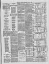 Brighton Gazette Thursday 07 June 1866 Page 3