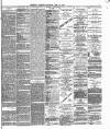 Brighton Gazette Saturday 12 June 1875 Page 3