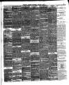 Brighton Gazette Saturday 24 March 1877 Page 3