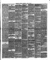 Brighton Gazette Thursday 19 April 1877 Page 5