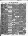 Brighton Gazette Saturday 13 April 1878 Page 3