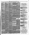 Brighton Gazette Thursday 05 September 1878 Page 3