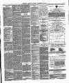 Brighton Gazette Saturday 23 November 1878 Page 3