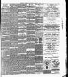 Brighton Gazette Thursday 03 March 1881 Page 3