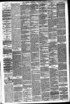 Hackney and Kingsland Gazette Saturday 05 June 1875 Page 3