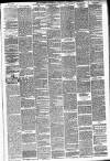 Hackney and Kingsland Gazette Wednesday 14 July 1875 Page 3