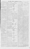 Croydon Advertiser and East Surrey Reporter Saturday 07 June 1873 Page 3