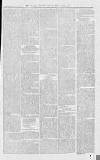 Croydon Advertiser and East Surrey Reporter Saturday 21 June 1873 Page 3