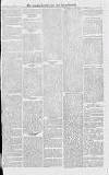 Croydon Advertiser and East Surrey Reporter Saturday 23 August 1873 Page 7