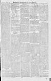 Croydon Advertiser and East Surrey Reporter Saturday 06 September 1873 Page 3
