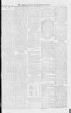 Croydon Advertiser and East Surrey Reporter Saturday 04 October 1873 Page 5