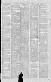 Croydon Advertiser and East Surrey Reporter Saturday 27 December 1873 Page 3