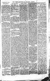 Croydon Advertiser and East Surrey Reporter Saturday 02 January 1875 Page 3