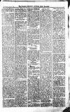 Croydon Advertiser and East Surrey Reporter Saturday 09 January 1875 Page 5