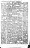 Croydon Advertiser and East Surrey Reporter Saturday 13 February 1875 Page 7