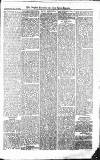 Croydon Advertiser and East Surrey Reporter Saturday 20 February 1875 Page 5