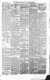 Croydon Advertiser and East Surrey Reporter Saturday 27 February 1875 Page 3