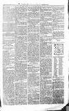 Croydon Advertiser and East Surrey Reporter Saturday 06 March 1875 Page 3