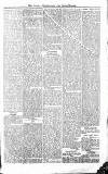 Croydon Advertiser and East Surrey Reporter Saturday 06 March 1875 Page 5