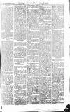 Croydon Advertiser and East Surrey Reporter Saturday 06 March 1875 Page 7