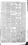 Croydon Advertiser and East Surrey Reporter Saturday 20 March 1875 Page 7