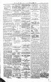 Croydon Advertiser and East Surrey Reporter Saturday 03 April 1875 Page 4