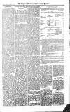 Croydon Advertiser and East Surrey Reporter Saturday 03 April 1875 Page 5