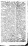 Croydon Advertiser and East Surrey Reporter Saturday 10 April 1875 Page 5