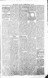 Croydon Advertiser and East Surrey Reporter Saturday 17 April 1875 Page 5