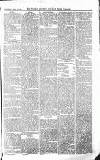 Croydon Advertiser and East Surrey Reporter Saturday 17 April 1875 Page 7