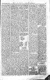 Croydon Advertiser and East Surrey Reporter Saturday 01 May 1875 Page 5