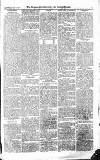 Croydon Advertiser and East Surrey Reporter Saturday 01 May 1875 Page 7