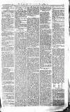 Croydon Advertiser and East Surrey Reporter Saturday 15 May 1875 Page 3