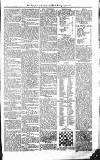 Croydon Advertiser and East Surrey Reporter Saturday 15 May 1875 Page 7