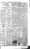 Croydon Advertiser and East Surrey Reporter Saturday 22 May 1875 Page 7