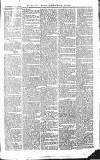 Croydon Advertiser and East Surrey Reporter Saturday 19 June 1875 Page 3