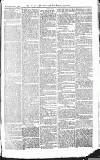 Croydon Advertiser and East Surrey Reporter Saturday 03 July 1875 Page 3