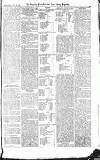 Croydon Advertiser and East Surrey Reporter Saturday 03 July 1875 Page 7