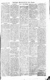 Croydon Advertiser and East Surrey Reporter Saturday 10 July 1875 Page 7