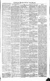 Croydon Advertiser and East Surrey Reporter Saturday 17 July 1875 Page 3
