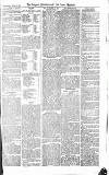 Croydon Advertiser and East Surrey Reporter Saturday 17 July 1875 Page 7